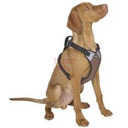 Petnešos šunims Harness Pulsive M