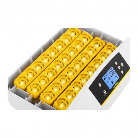 Automatinis kiaušinių inkubatorius N-32DDI