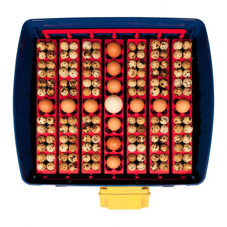 Automatinis kiaušinių inkubatorius REAL 49 AUTOMATIC + SIRIO HUMIDITY