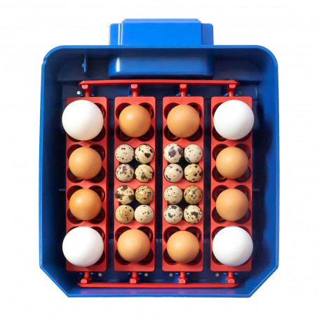 Automatinis kiaušinių inkubatorius LUMIA 16 AUTOMATIC + SIRIO HUMIDITY