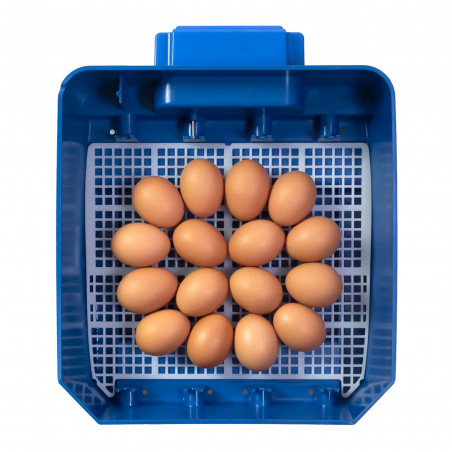Automatinis kiaušinių inkubatorius LUMIA 16 AUTOMATIC + SIRIO HUMIDITY