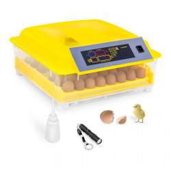 Automatinis kiaušinių inkubatorius IN-48DDI